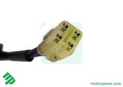 BB (5)
